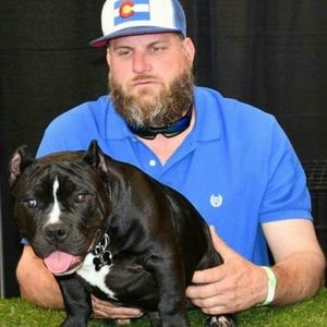 Meet your Posher, Joe